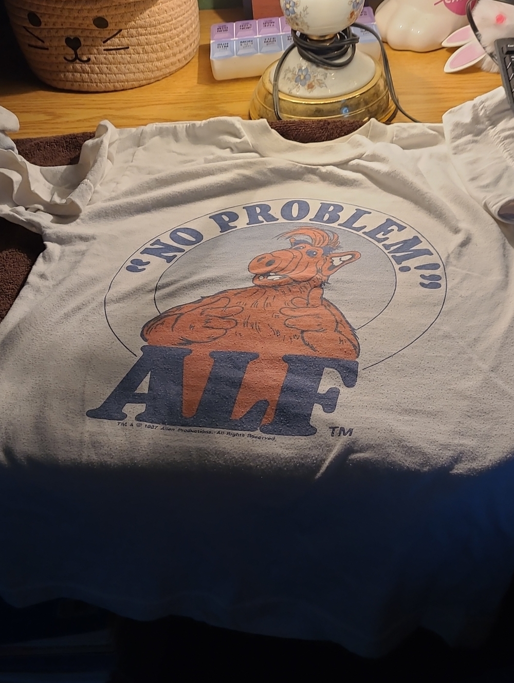 Youth Vintage Tshirt With Alf " No Problem!"
